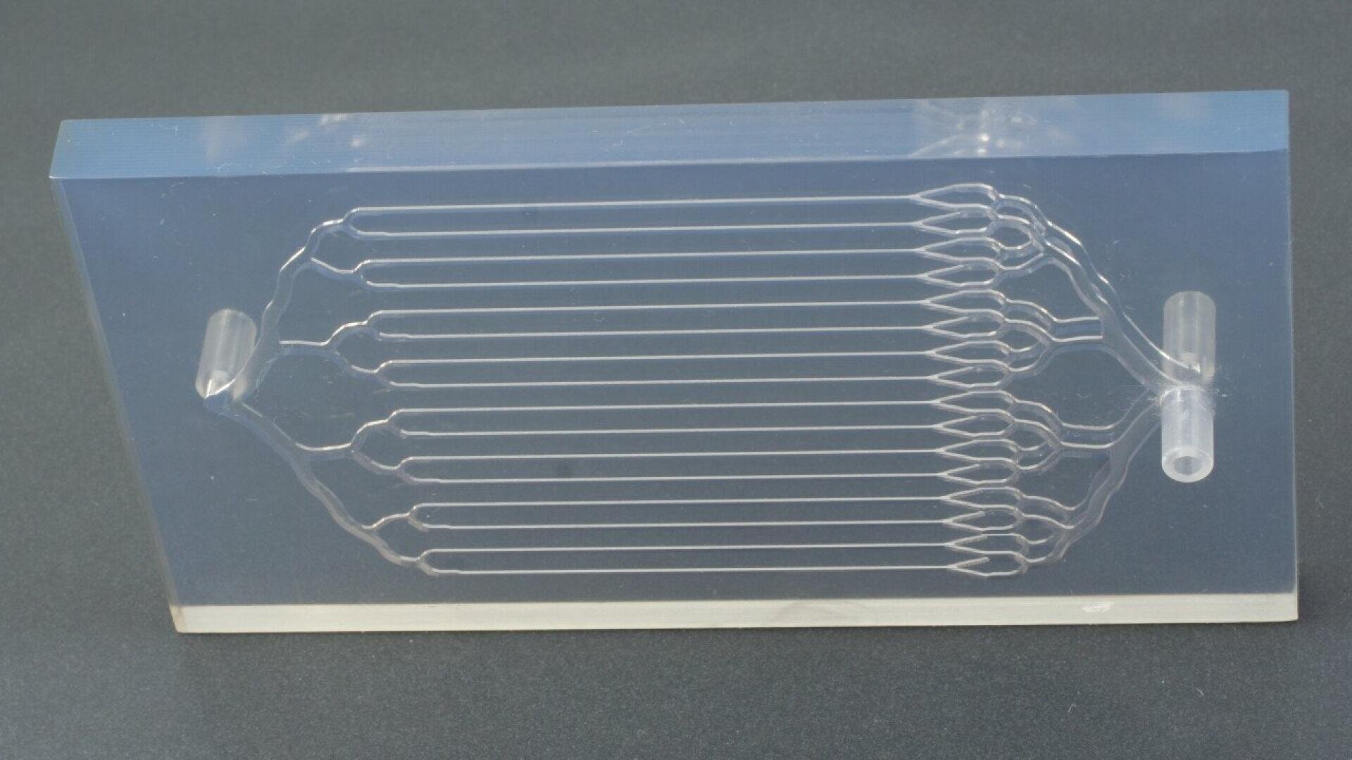 Puce microfluidique rectangulaire en plastique transparent, dotée de multiples canaux parallèles et de jonctions en forme de Y, posée sur une surface sombre. Les canaux sont reliés à deux entrées cylindriques sur les côtés opposés.