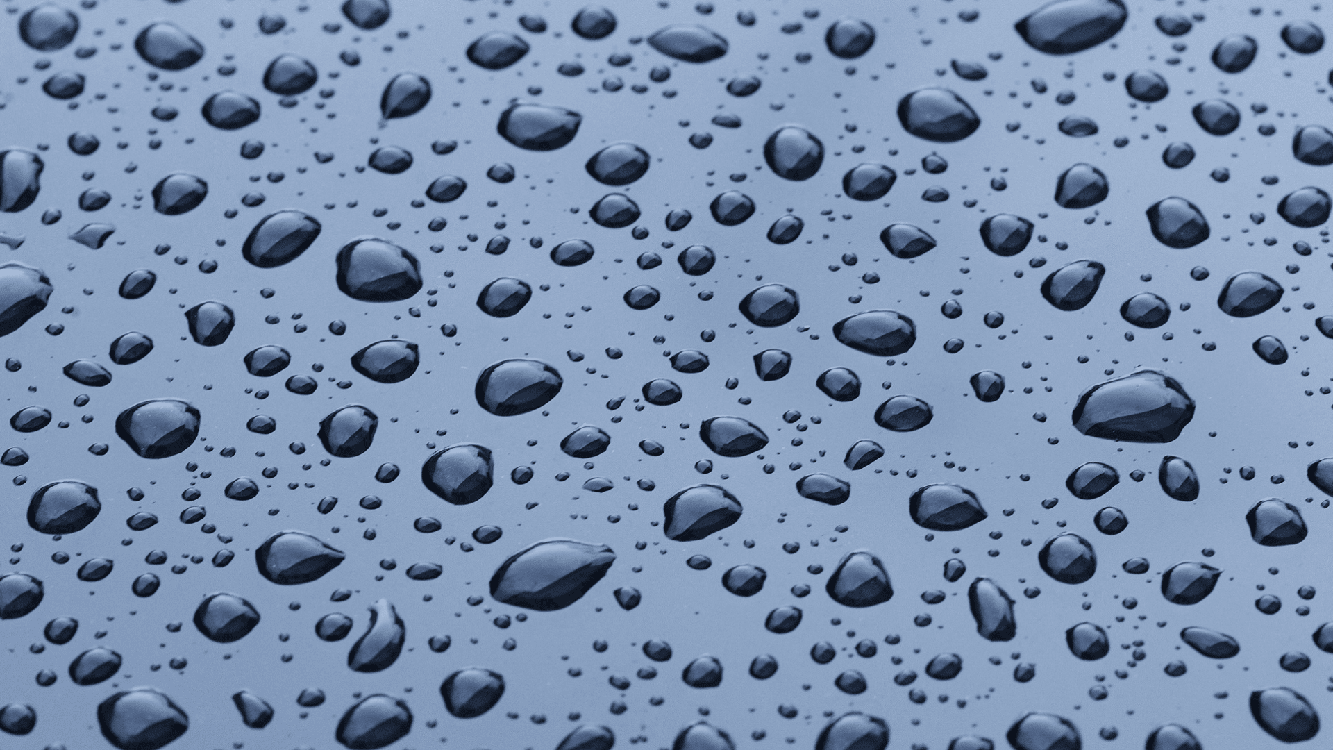 Nahaufnahme zahlreicher Wassertröpfchen auf einer glatten, reflektierenden blauen Oberfläche. Die Tröpfchen sind unterschiedlich groß und über die Oberfläche verstreut, wodurch ein Muster entsteht, das ihre glänzenden, runden Formen hervorhebt.
