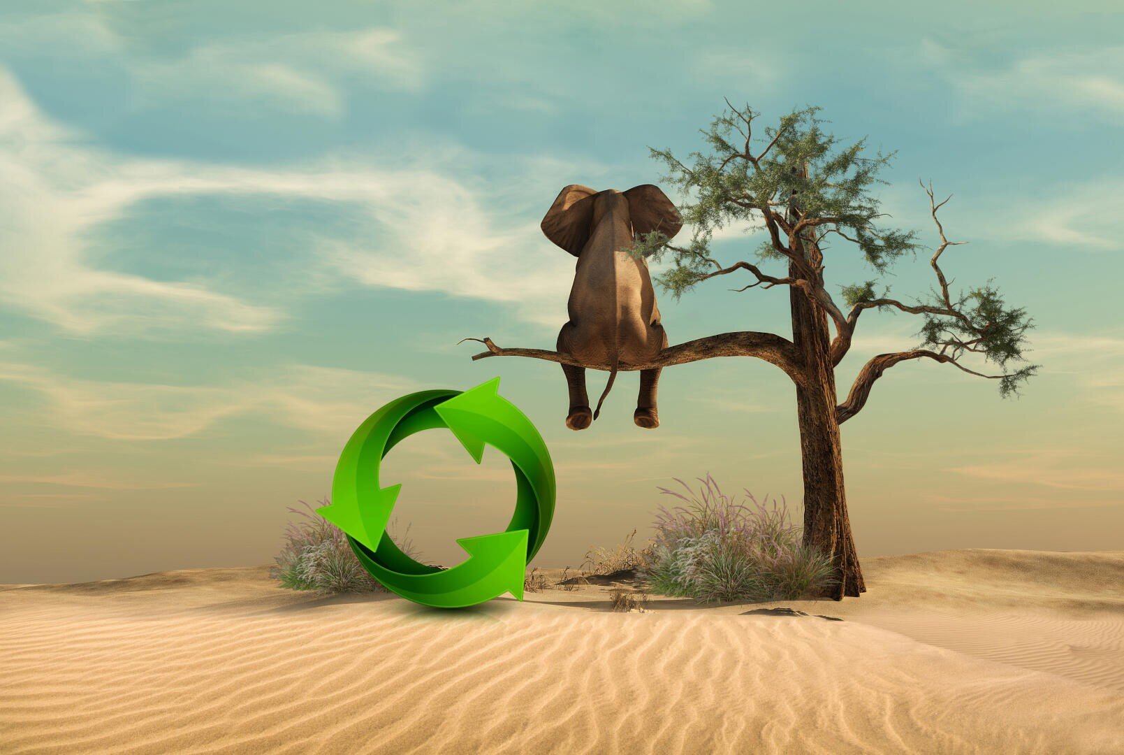 Ein Elefant sitzt auf einem Ast in einer Wüste neben einem grünen Recycling-Symbol.