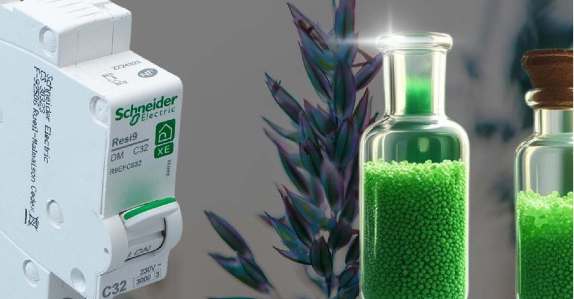 À gauche, on peut voir un disjoncteur de Schneider Electric, à droite, en arrière-plan, deux récipients en verre contenant des granulés verts et une plante aux feuilles violettes et vertes.