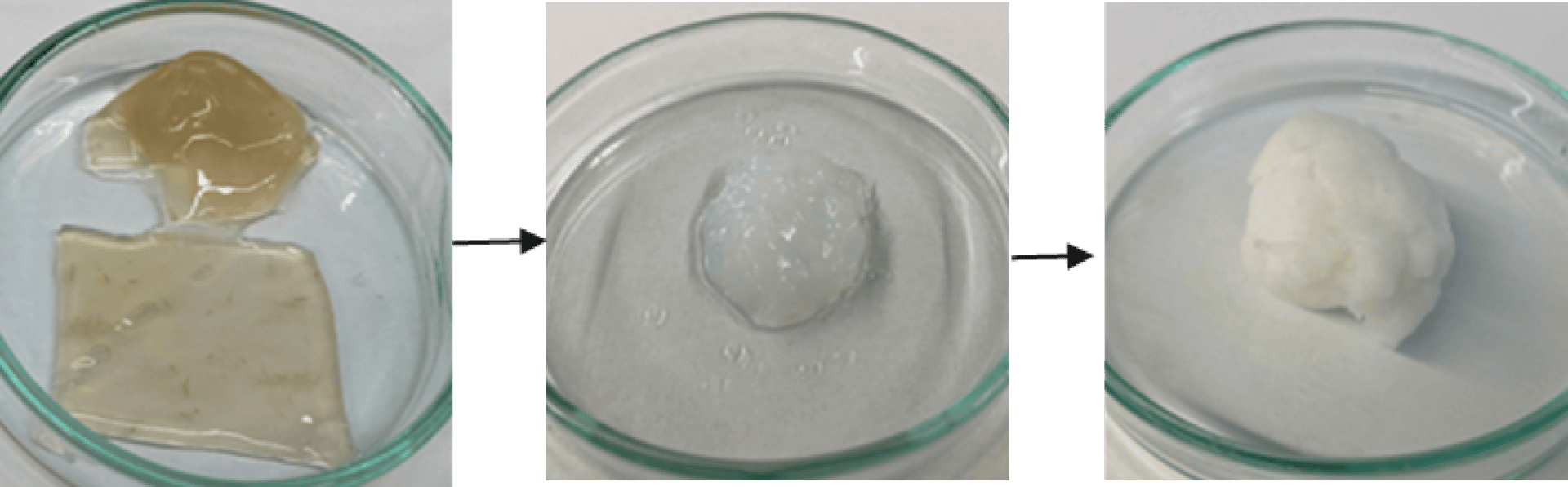 Drei Glasschalen zeigen einen Verlauf: Die erste enthält ein durchscheinendes bräunliches Gel mit Flüssigkeit, die zweite ein trübes Gel in Flüssigkeit und die dritte eine feste weiße Masse in Flüssigkeit. Die Pfeile zeigen von links nach rechts.