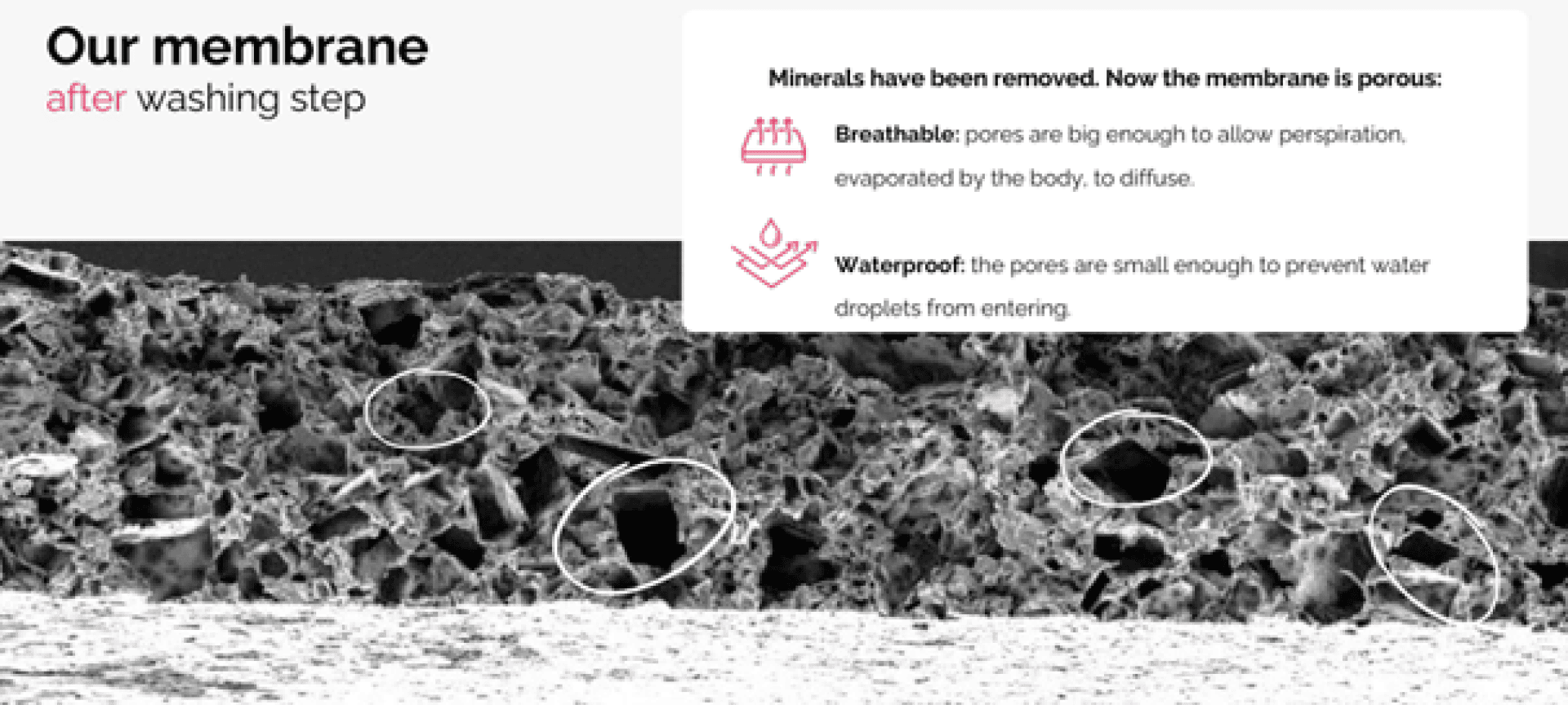 Querschnitt einer porösen Membran nach dem Waschen, mit eingekreisten Poren. Der Overlay-Text erklärt, dass die Membran atmungsaktiv (Poren lassen Schweiß entweichen) und wasserdicht (Poren blockieren Wassertröpfchen) ist.