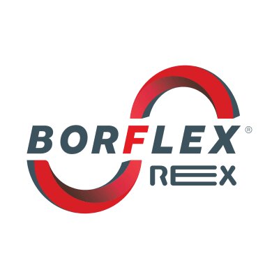 Logo BORFLEX REX SA