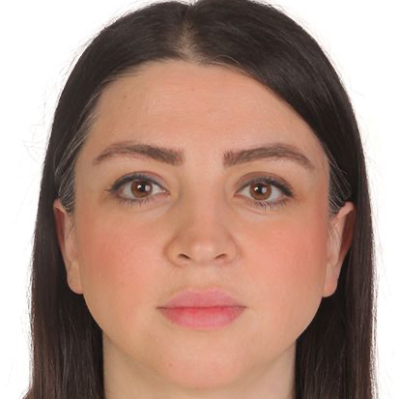 MAHSIMASADAT HAYERIMEYBODI