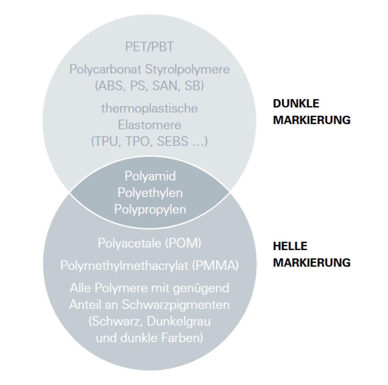Ein Venn-Diagramm mit zwei sich überschneidenden Kreisen zeigt Kunststoffe mit einer dunklen Markierung oben und einer hellen Markierung unten, wobei die verschiedenen Arten von Polymeren in jedem Abschnitt auf Deutsch aufgeführt sind.